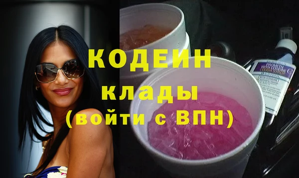 mdpv Вяземский