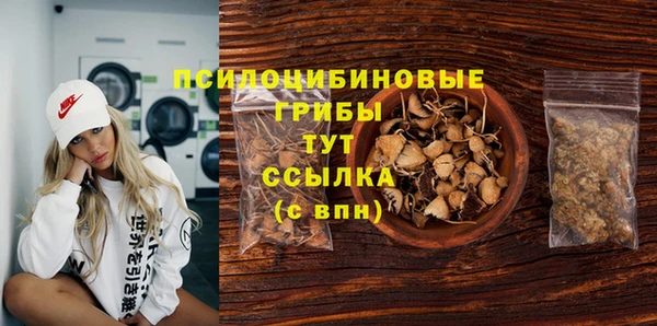 mdpv Вяземский