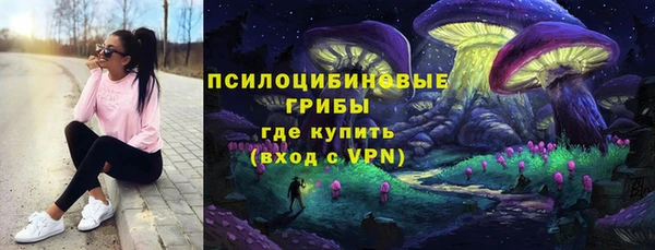 гашик Горнозаводск