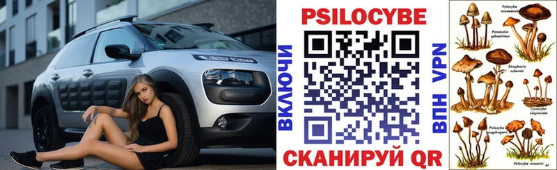 где найти   Заозёрск  Галлюциногенные грибы мухоморы 